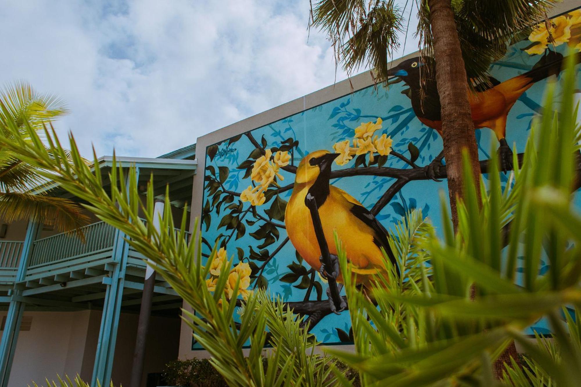 The Mill Resort And Suites Palm Beach Esterno foto