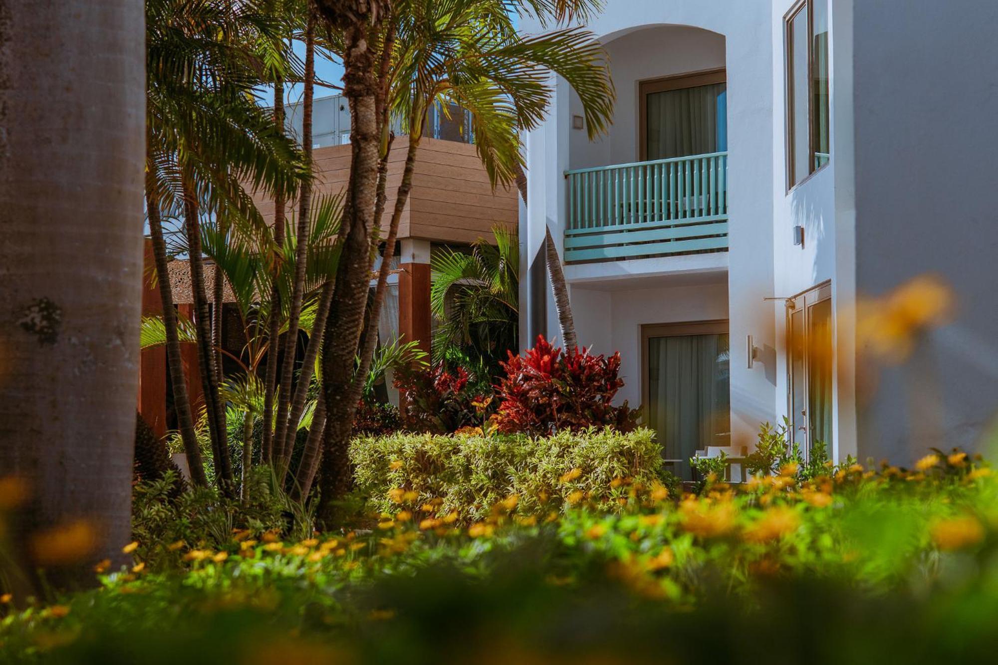 The Mill Resort And Suites Palm Beach Esterno foto